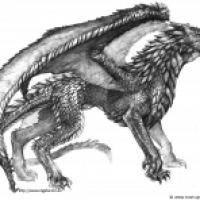 Drachen-Concept