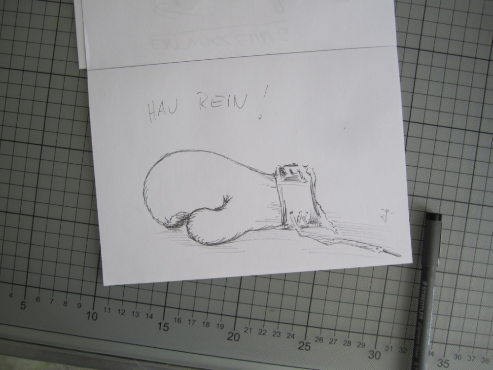 Illustration: Ali 1