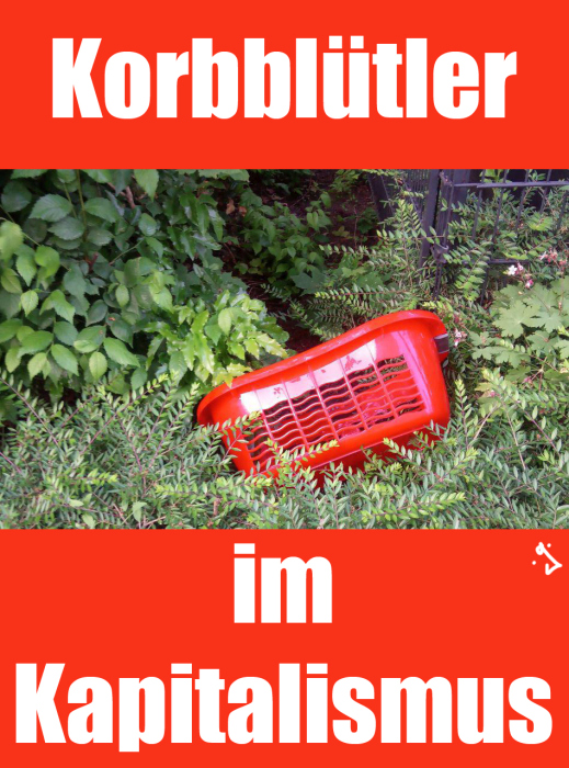 Anderes: Korbblütler 1
