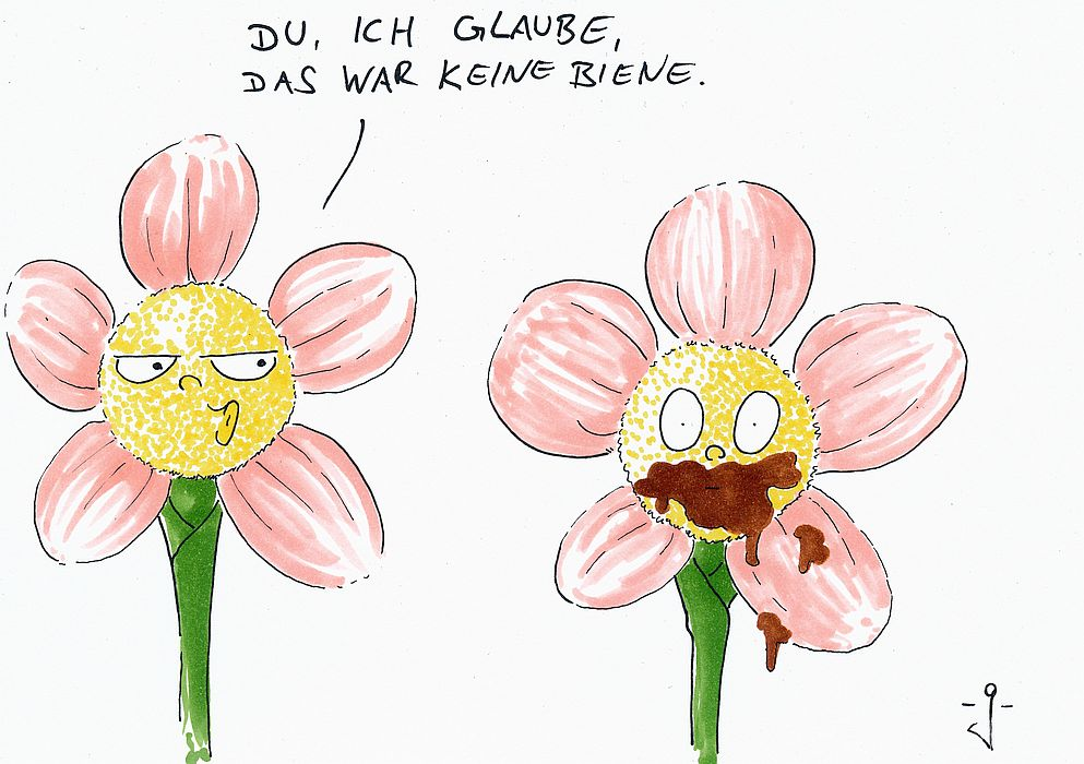 Cartoon: Frühling 1