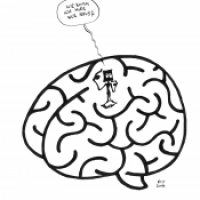 Hirnlabyrinth