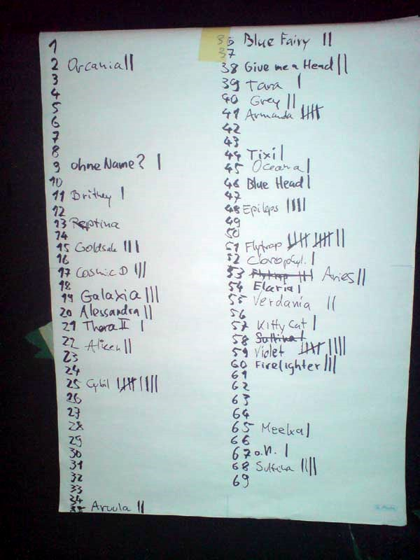 Anderes: Results of vote count 1