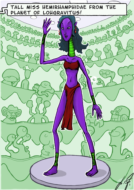 Illustration: Miss Hemirhamphidae (Miss Alien 18) 1