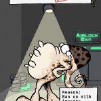 Miss Udder (Disqualified 1)
