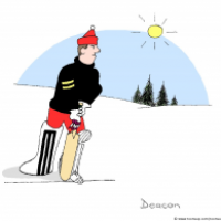 Snow Cricket