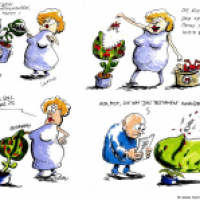 Fleischfressende Pflanze
