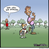 Spielender Hund