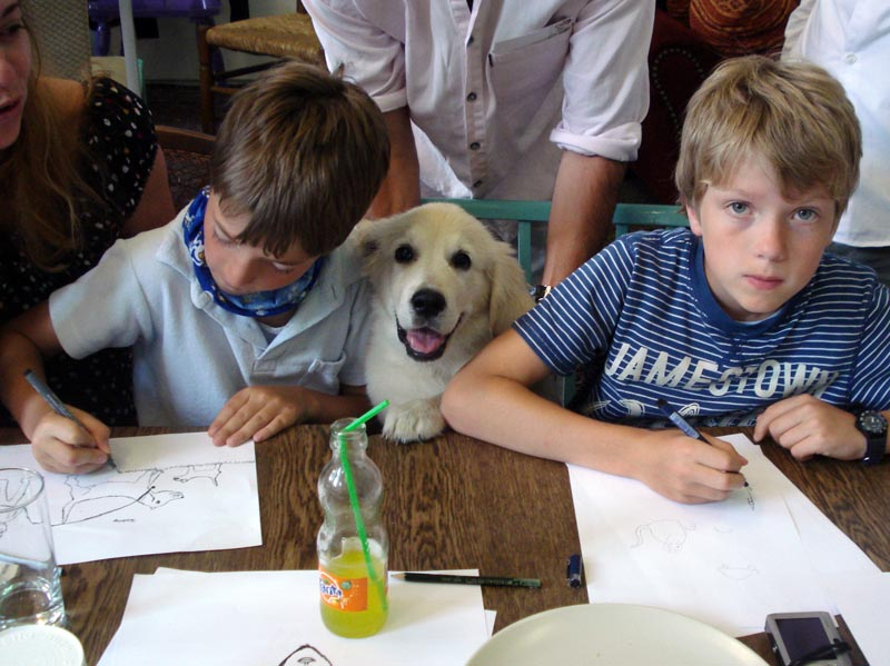 Other: Hunde 2