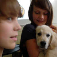 Hunde
