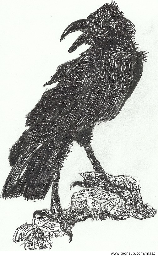Illustration: Rabe 1