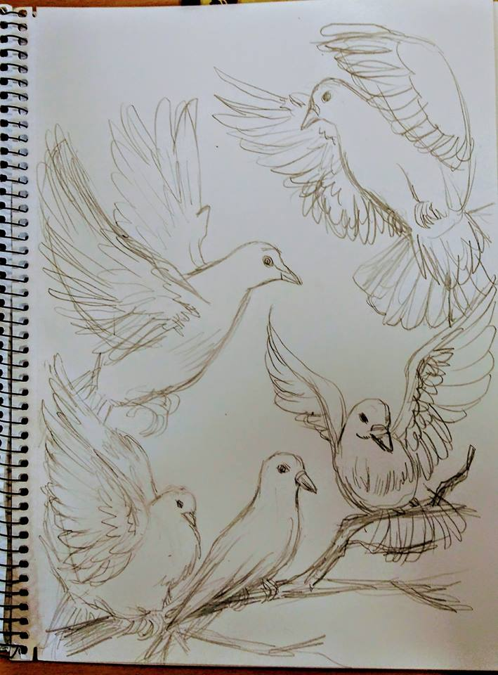 Concept Art / Character Design: Taubenstudie 1