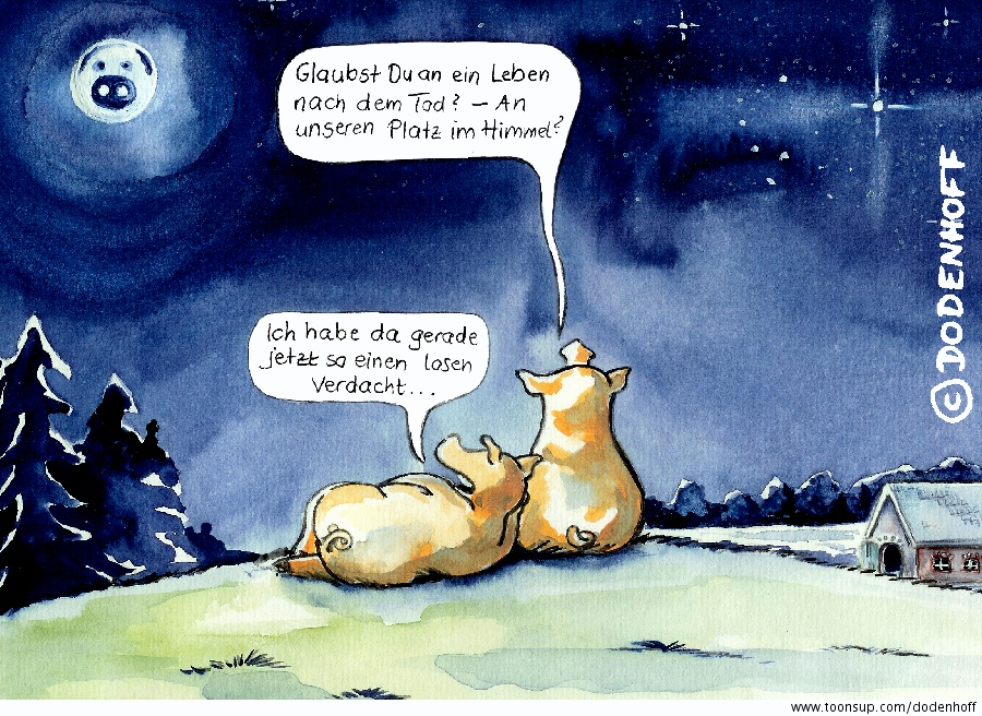 Cartoon: Schweinehimmel 1