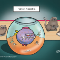 Fischen impossible