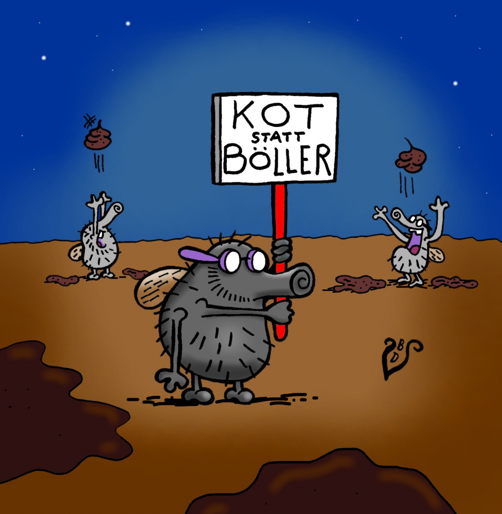 Cartoon: Ökologisches Böllern 1