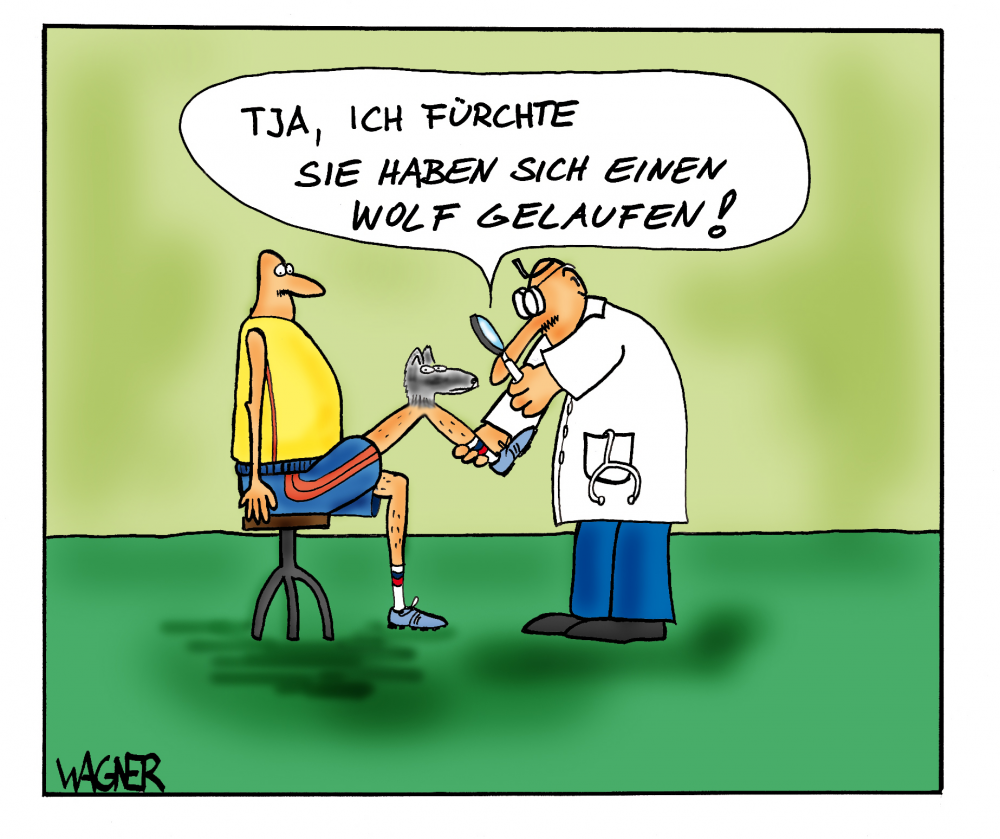 Cartoon: Wolf gelaufen 1