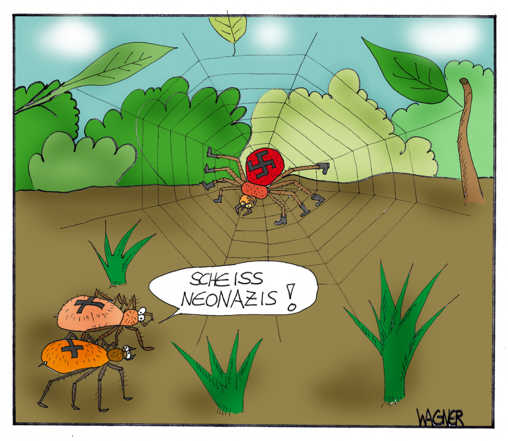 Cartoon: Kreuzspinnen 1