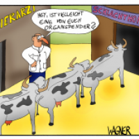 Organspender