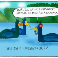 Taucher unter sich