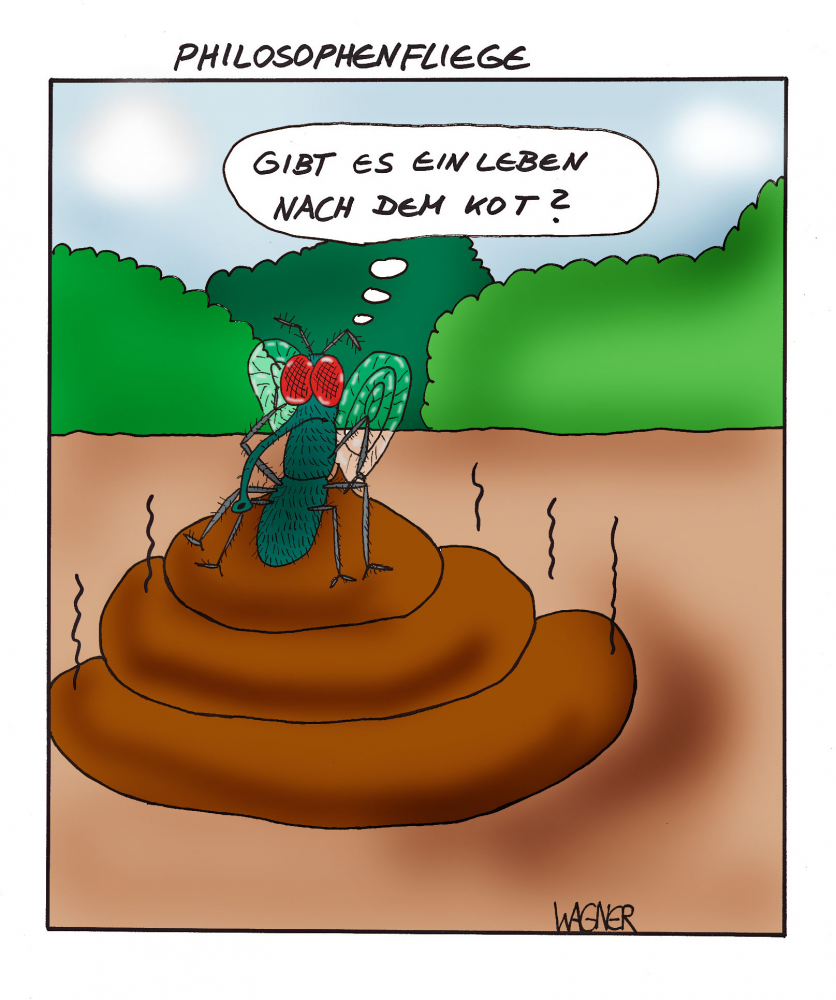 Cartoon: Fliegenphilosophie 1