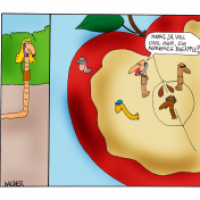 Große weite Welt