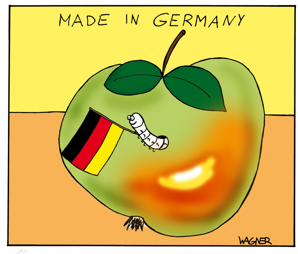 Cartoon: Fußballfan 1