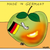 Fußballfan