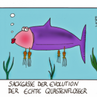 Evolution