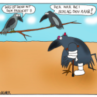 Falsche Sendung