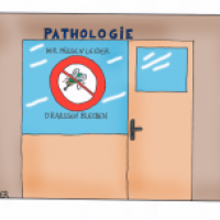Pathologie