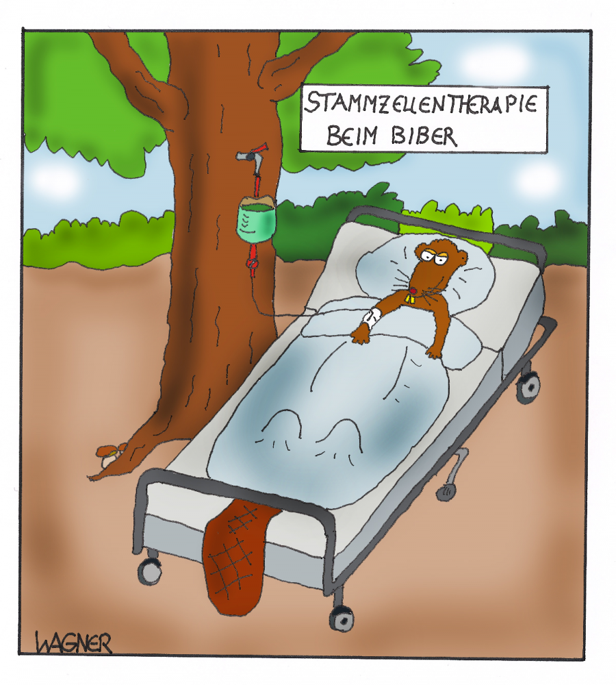 Cartoon: Therapie 1