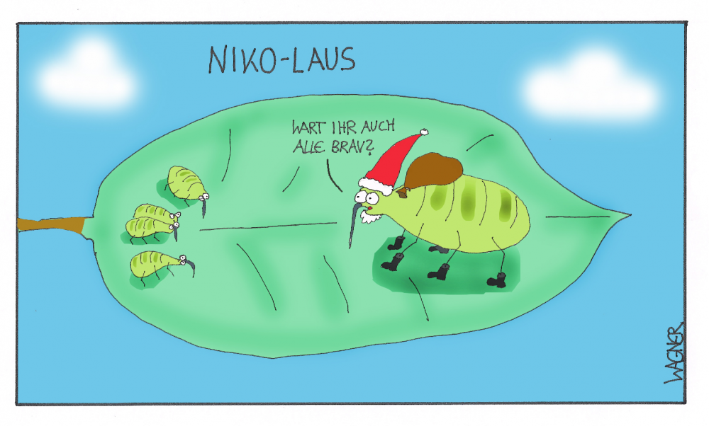 Cartoon: Wortspiel 6.12. 1