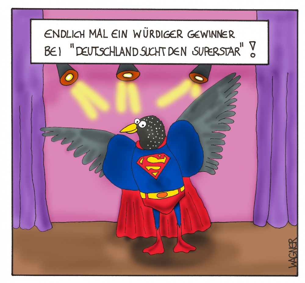 Cartoon: DSDS 1