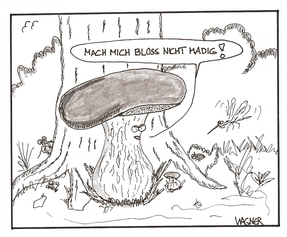 Cartoon: Sommersteinpilz 1