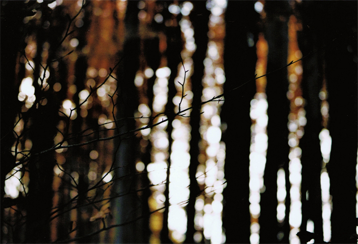 Anderes: Fotografien: Herbst.o0analog 6