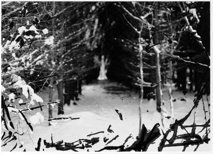 Anderes: Destroyed Photography 2