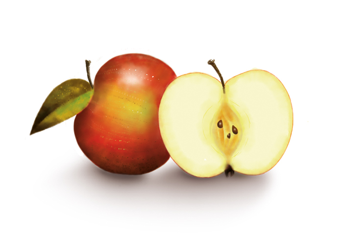 Illustration: Äpfel 1