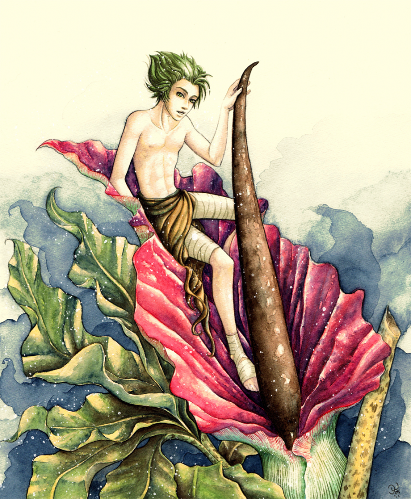 Illustration: Flowerboy 1
