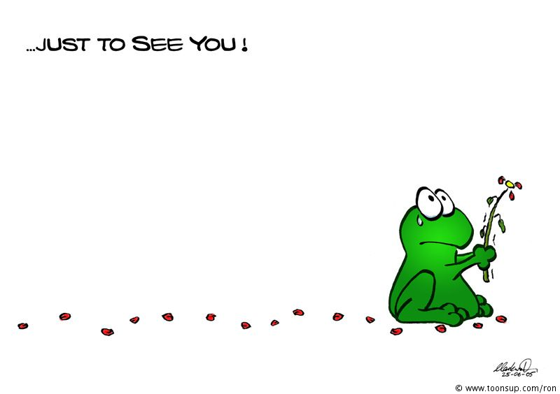 Illustration: Frogs - I Miss You (Grußkarte) 2