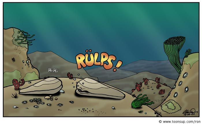Cartoon: Muscheln 1