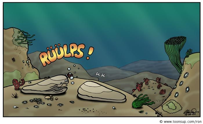 Cartoon: Muscheln 2