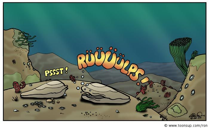 Cartoon: Muscheln 3