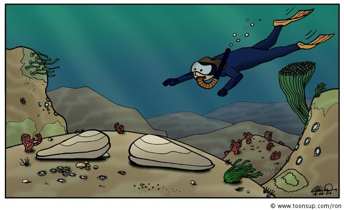 Cartoon: Muscheln 4