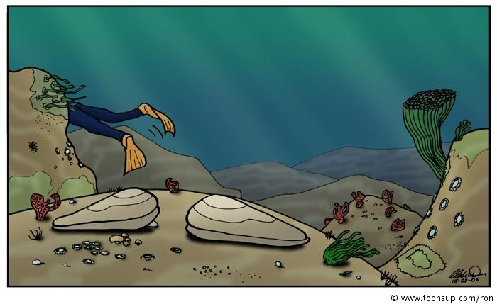 Cartoon: Muscheln 5