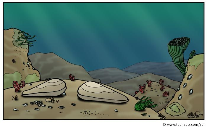 Cartoon: Muscheln 6