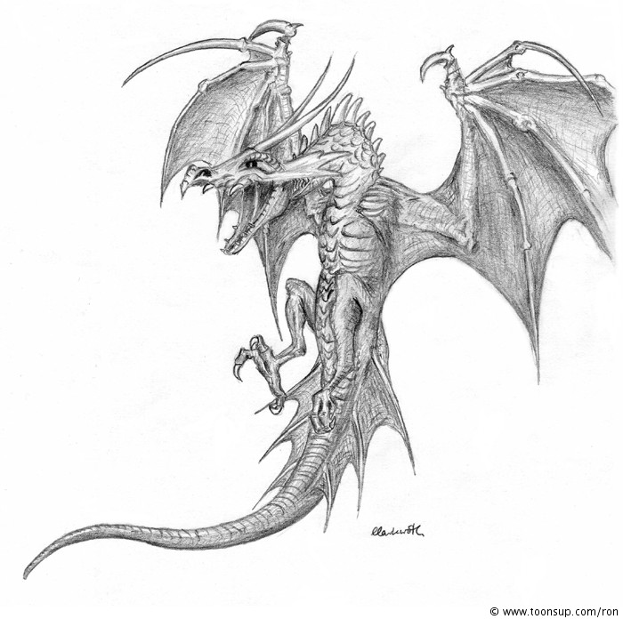Illustration: Drache - Wyvern 1