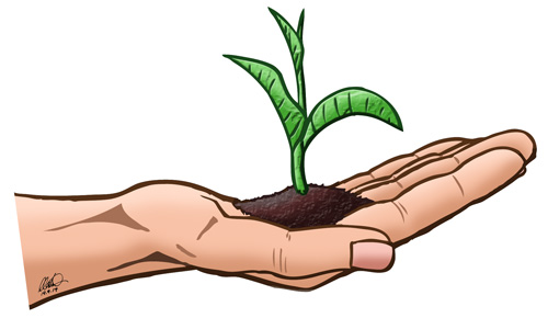 Illustration: Pflanze in offener Hand 1