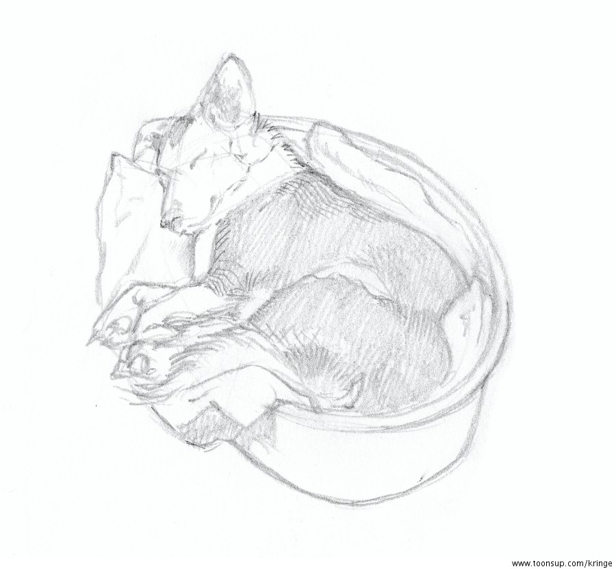 Illustration: Hundeskizzen 1