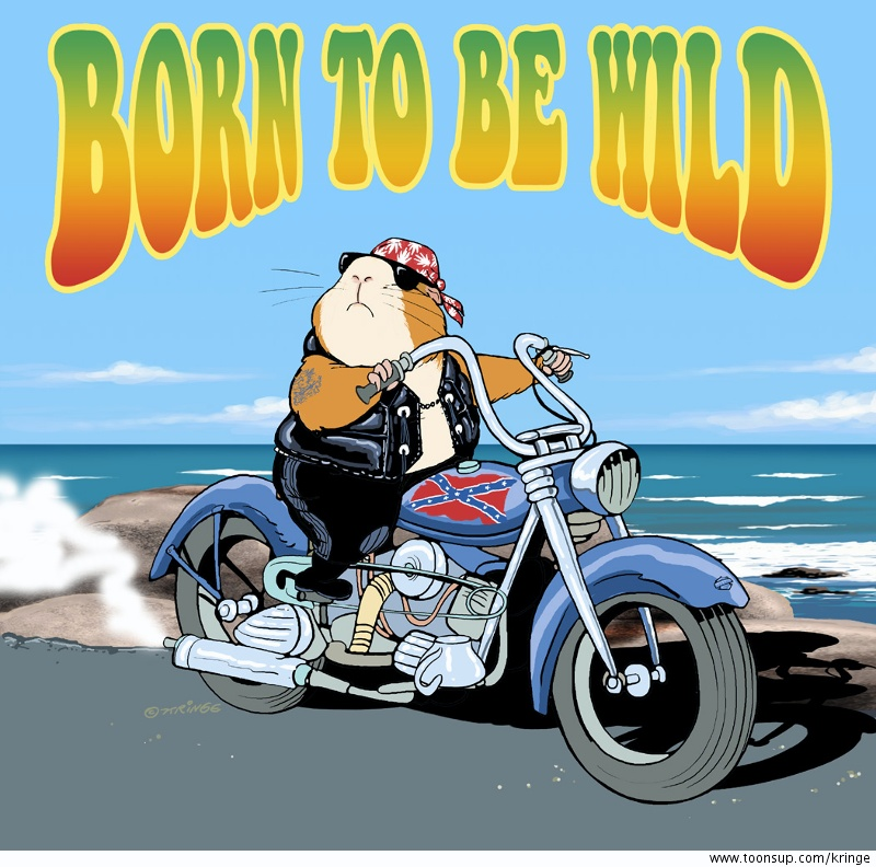 Cartoon: Born to be wild 2