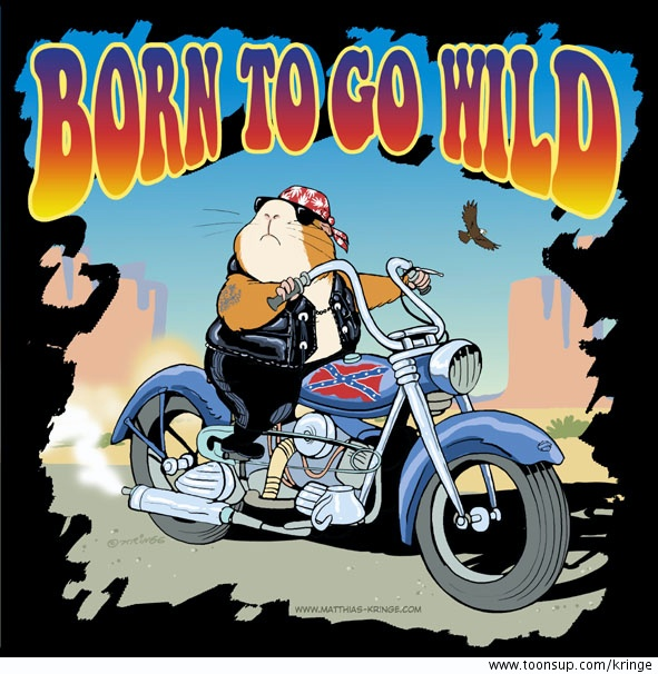 Cartoon: Born to be wild 4