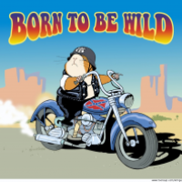 Born to be wild